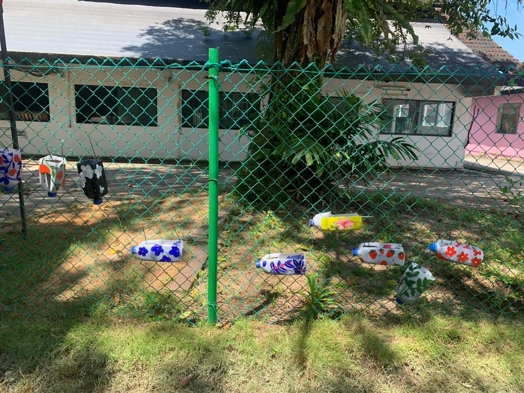 Planting in Recyclables — photo 11