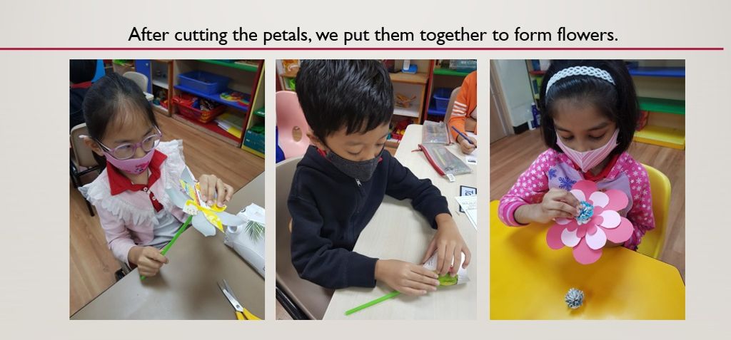 A Gift for Our Elderly — photo 2