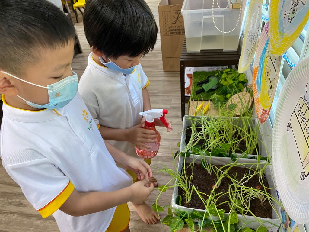 SSDB: Gardening and Water Conservation with Sunflower Preschool @ Punggol Field Walk — photo 5