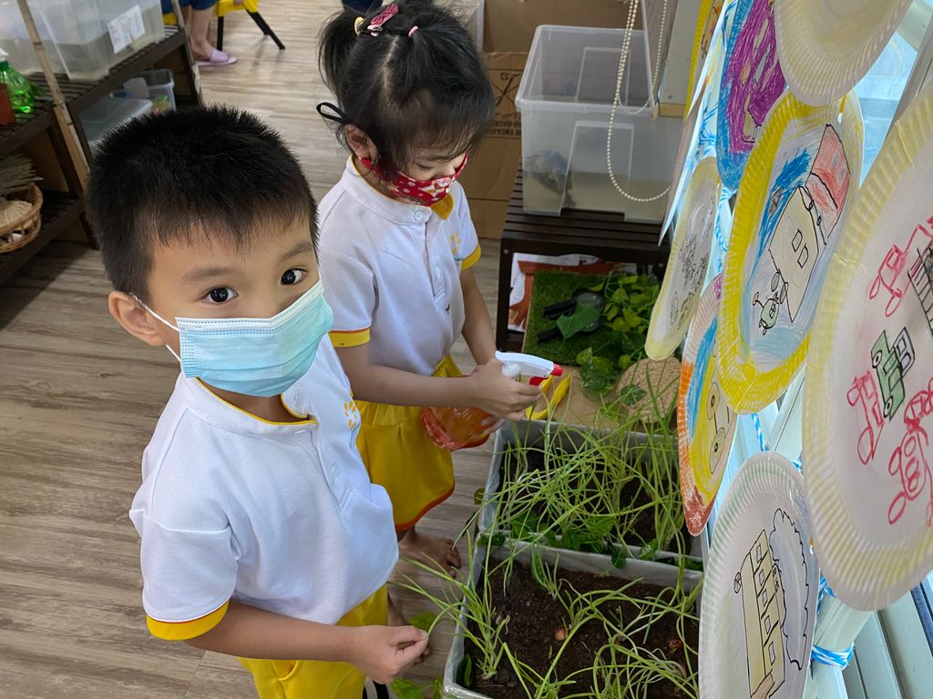 SSDB: Gardening and Water Conservation with Sunflower Preschool @ Punggol Field Walk — photo 6