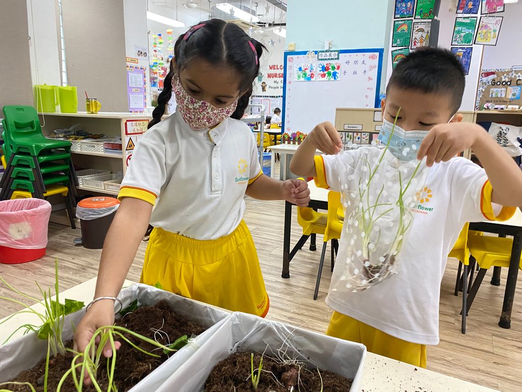 SSDB: Gardening and Water Conservation with Sunflower Preschool @ Punggol Field Walk — photo 7