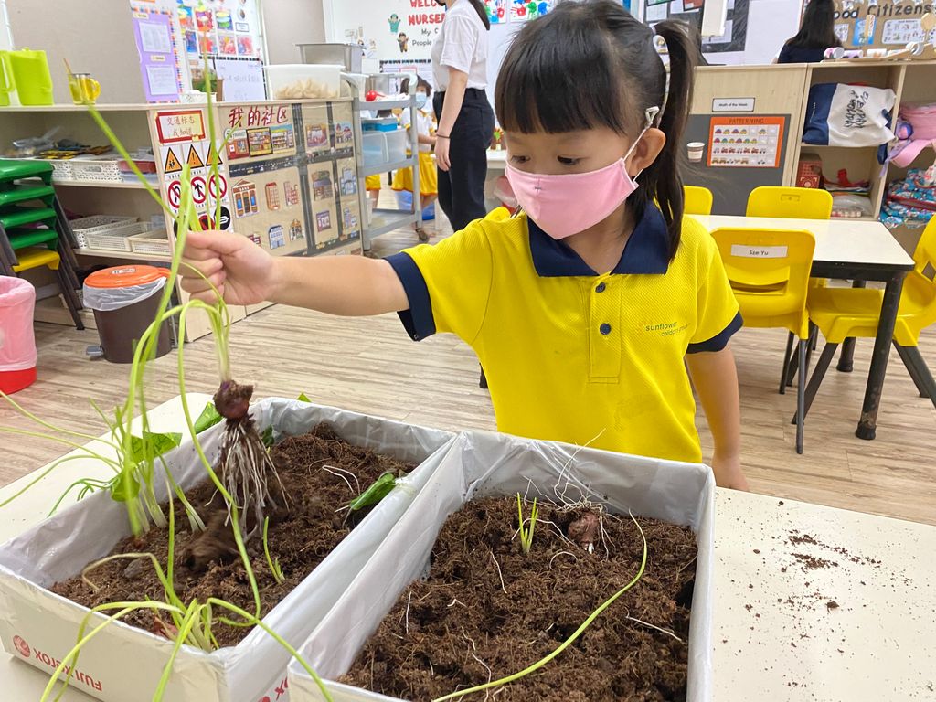 SSDB: Gardening and Water Conservation with Sunflower Preschool @ Punggol Field Walk — photo 8