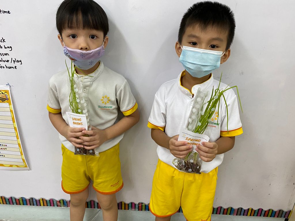 SSDB: Gardening and Water Conservation with Sunflower Preschool @ Punggol Field Walk — photo 11