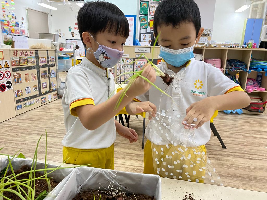 SSDB: Gardening and Water Conservation with Sunflower Preschool @ Punggol Field Walk — photo 14