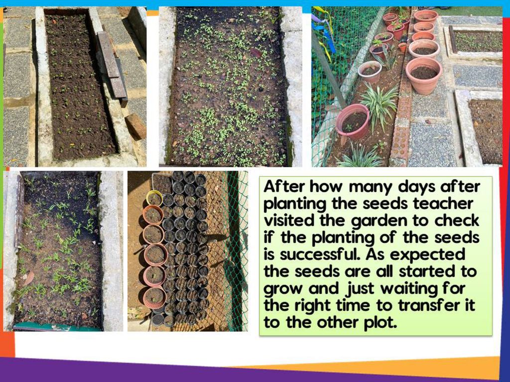 Healthy Garden Happy Community — photo 16