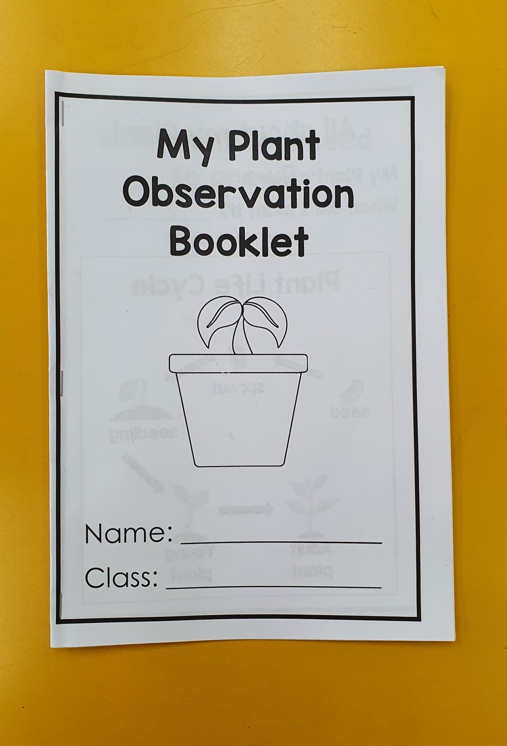 Fun with Growing — photo 1