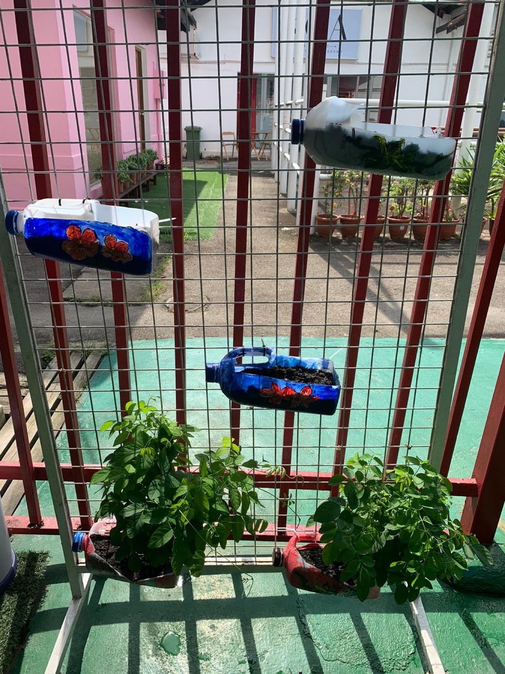Recycled jugs turned flower pots — photo 4