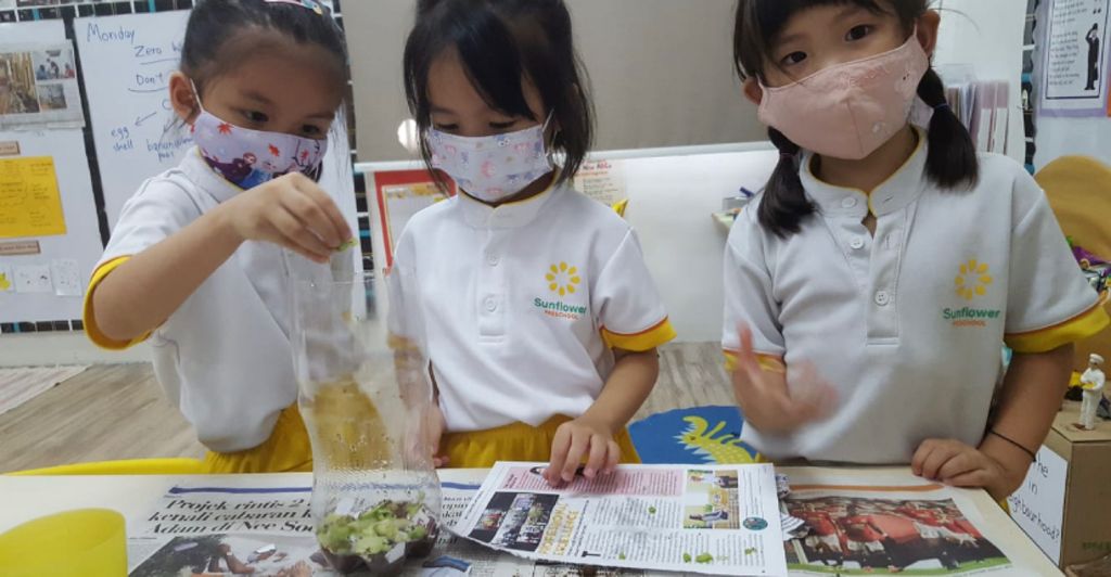 SSDB: Zero Waste with Sunflower Preschool @ Punggol Field Walk — photo 8