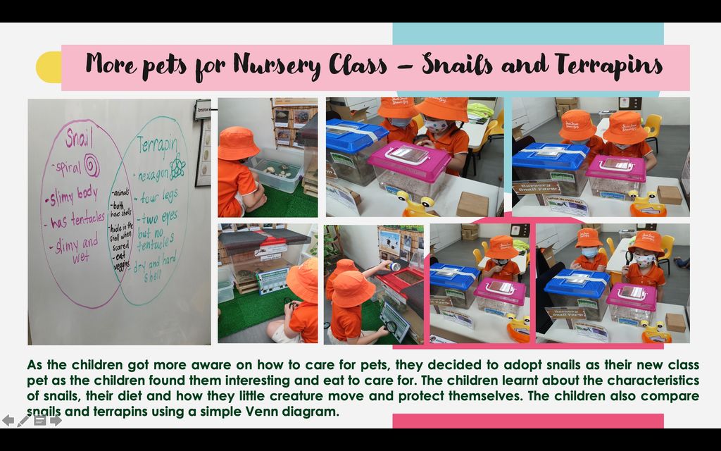 My First Skool "Paw-sitive Attitude" (July activities) — photo 2