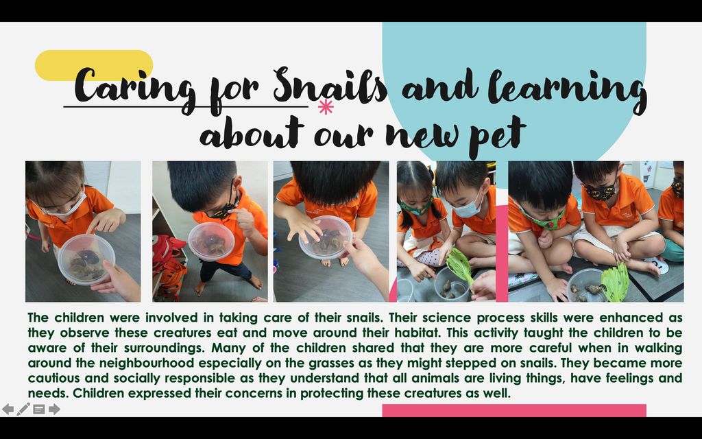 My First Skool "Paw-sitive Attitude" (July activities) — photo 3