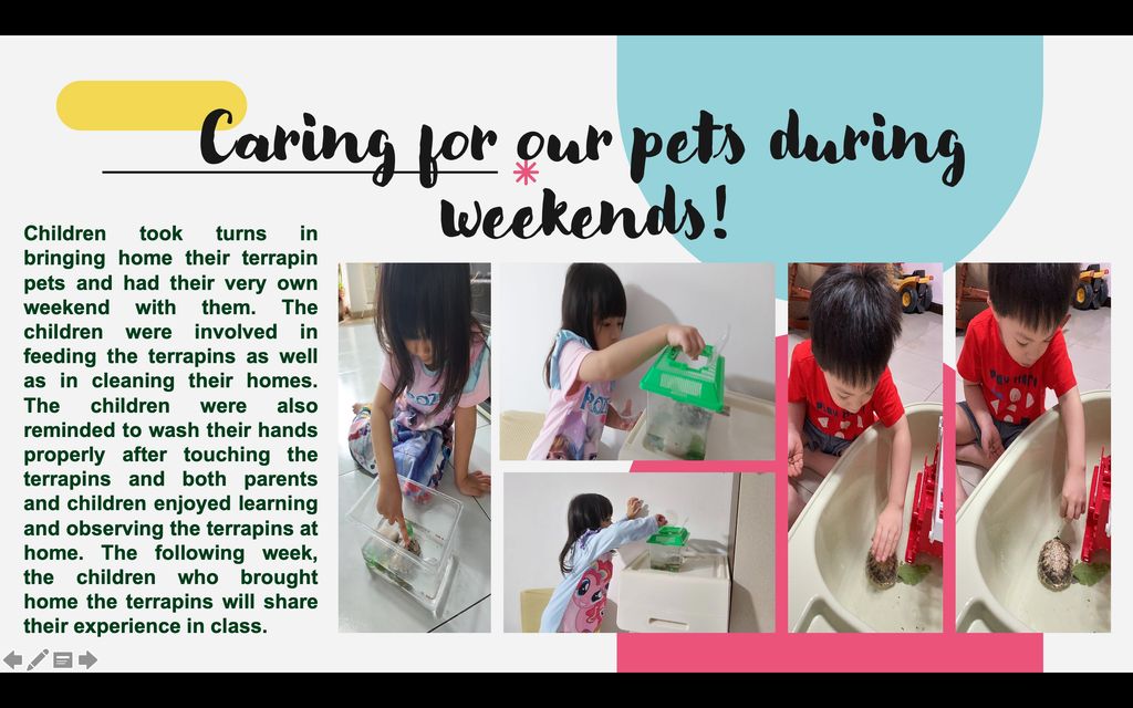 My First Skool "Paw-sitive Attitude" (July activities) — photo 9