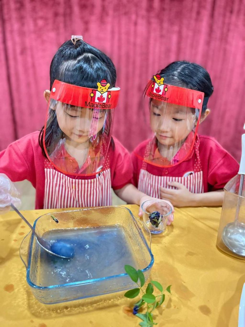 Blue Pea jelly — photo 8