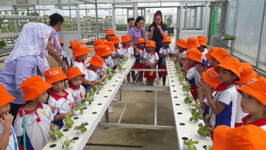 Field Trip to Hydroponic Farm