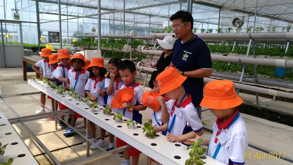 Field Trip to Hydroponic Farm — photo 3