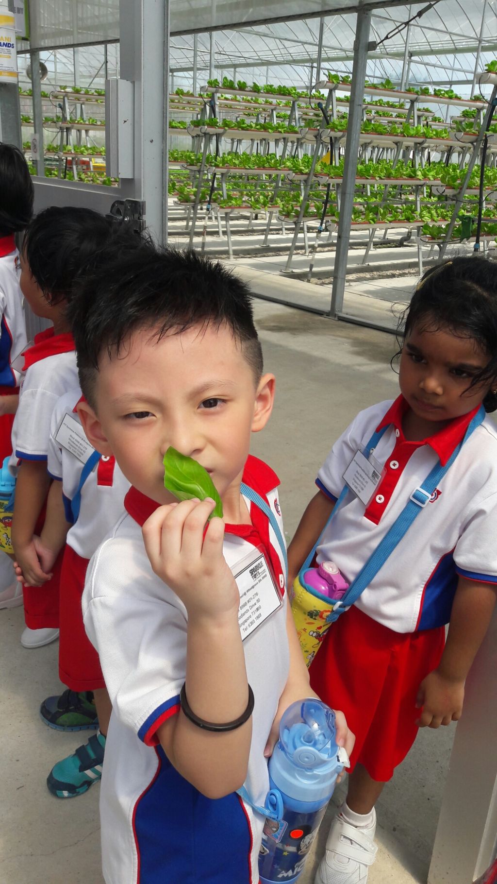 Field Trip to Hydroponic Farm — photo 4