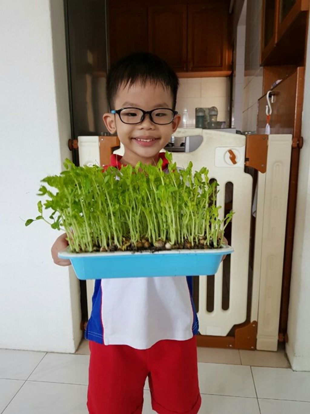 Field Trip to Hydroponic Farm — photo 5