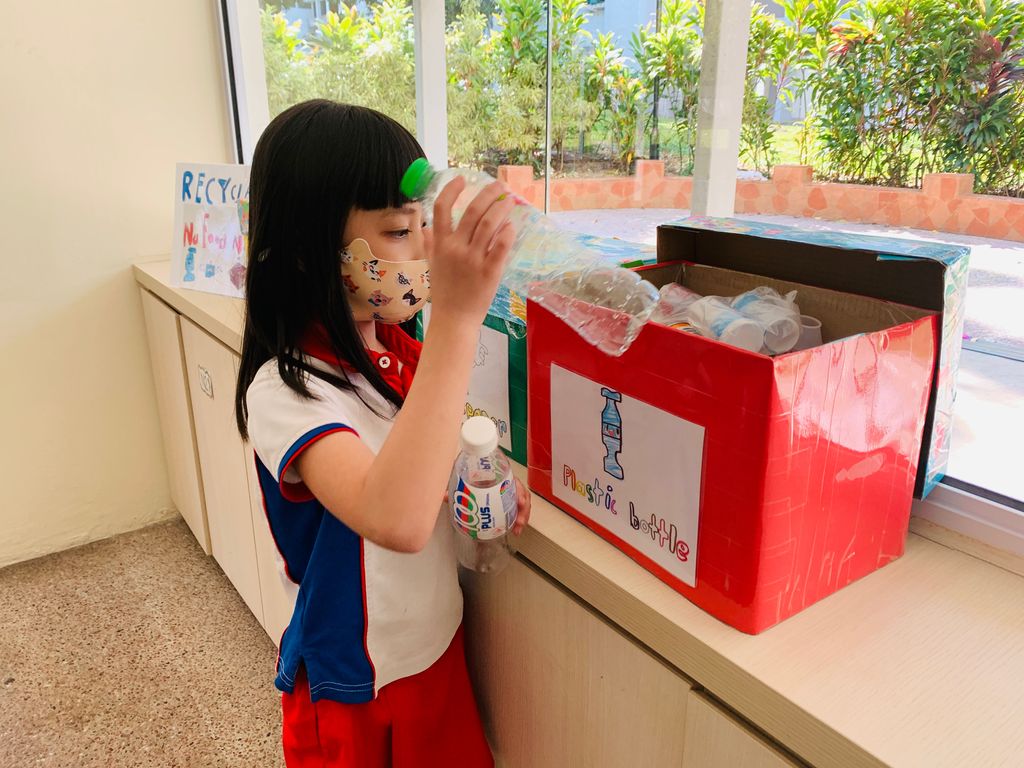 Bringing of Recycled Items♻️ 📦🧴🗞 — photo 9