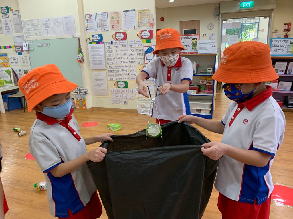 Litter-Free Environment🍃 — photo 12