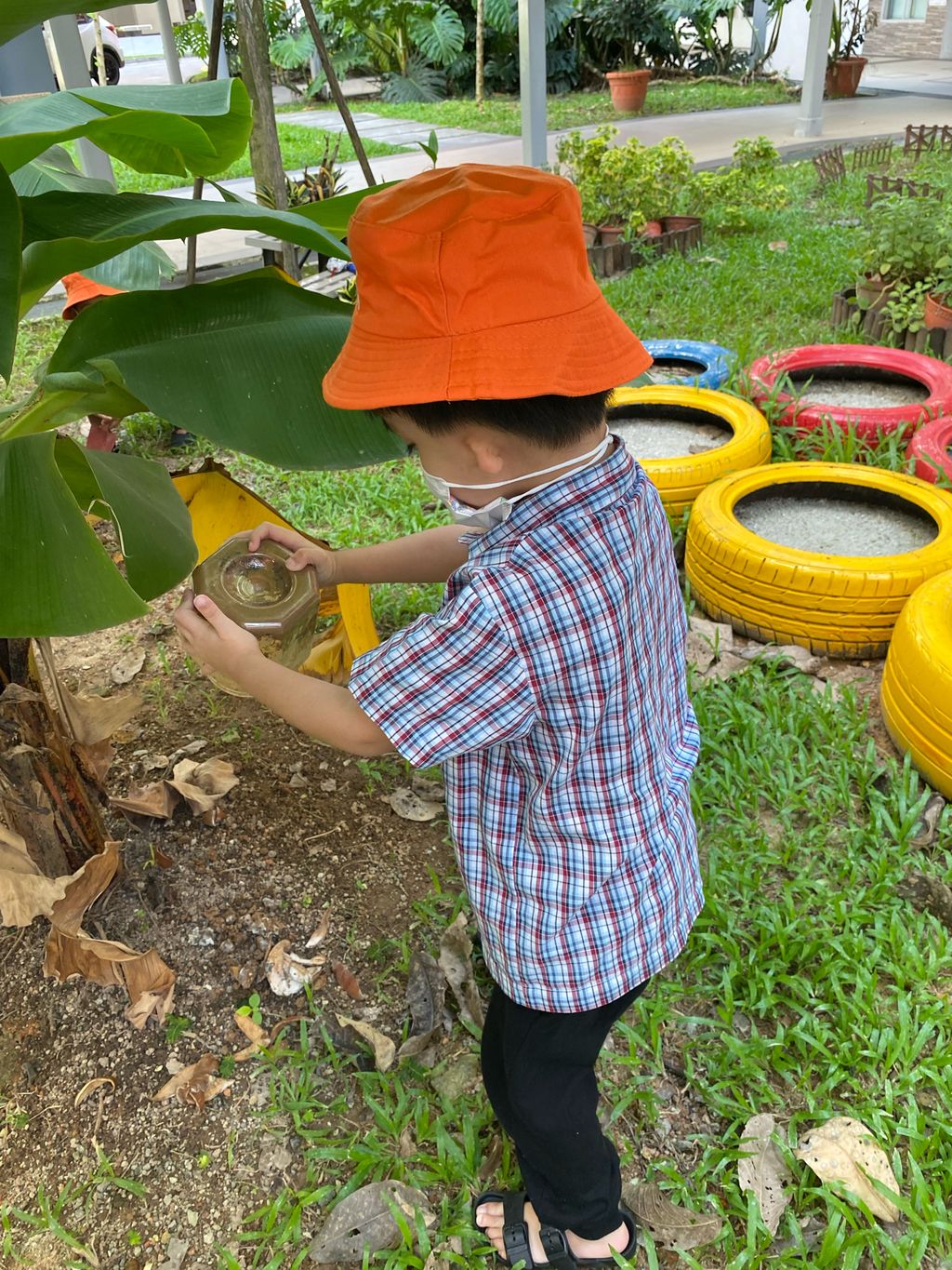 Fertilising Our Garden! — photo 1
