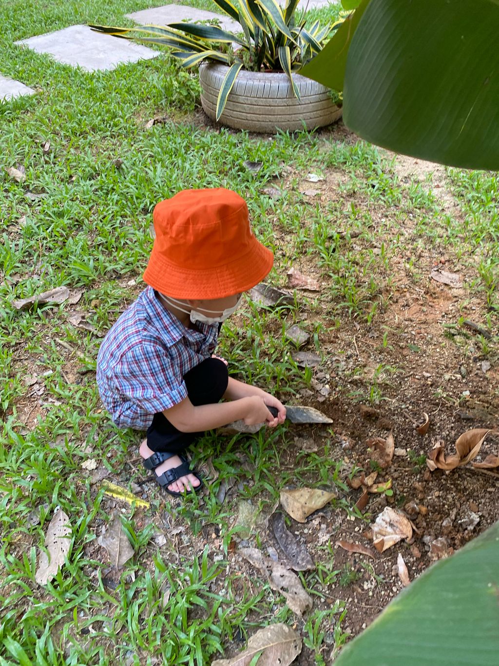 Fertilising Our Garden! — photo 2