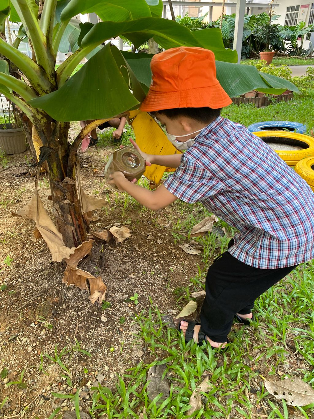 Fertilising Our Garden! — photo 3