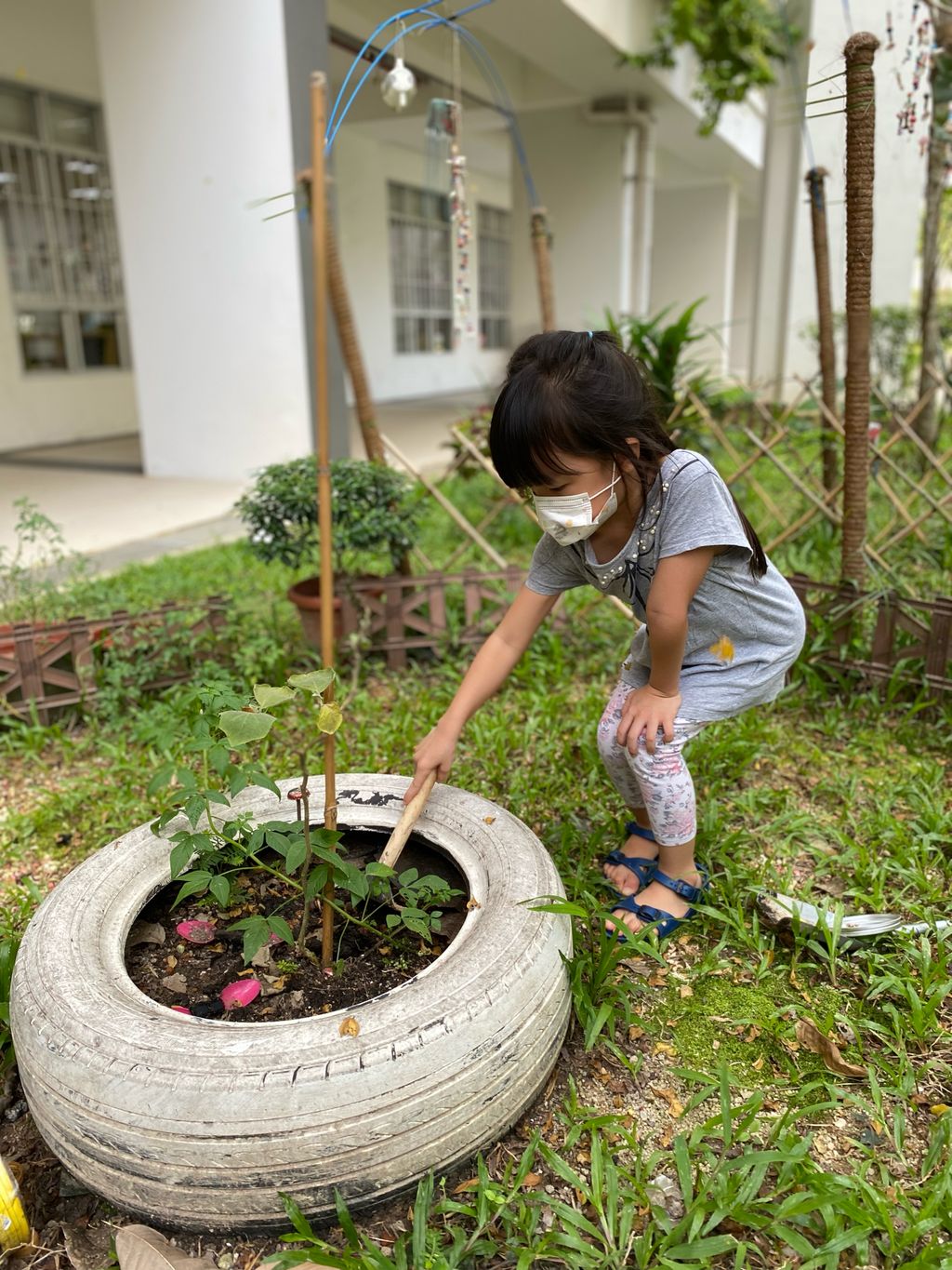 Fertilising Our Garden! — photo 1
