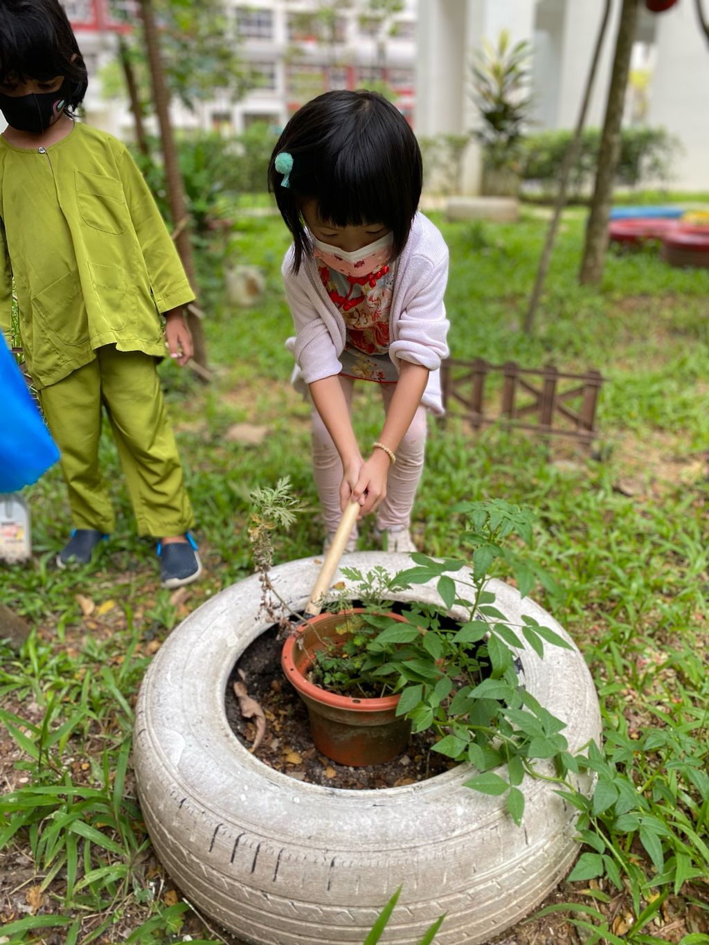 Fertilising Our Garden! — photo 2