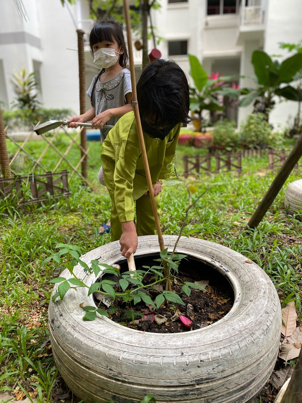Fertilising Our Garden! — photo 5