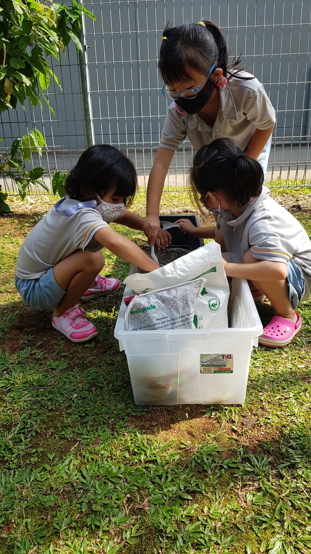 Commencing our Urban Farm project! — photo 2