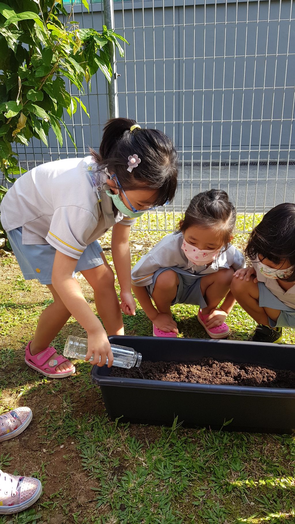 Commencing our Urban Farm project! — photo 3