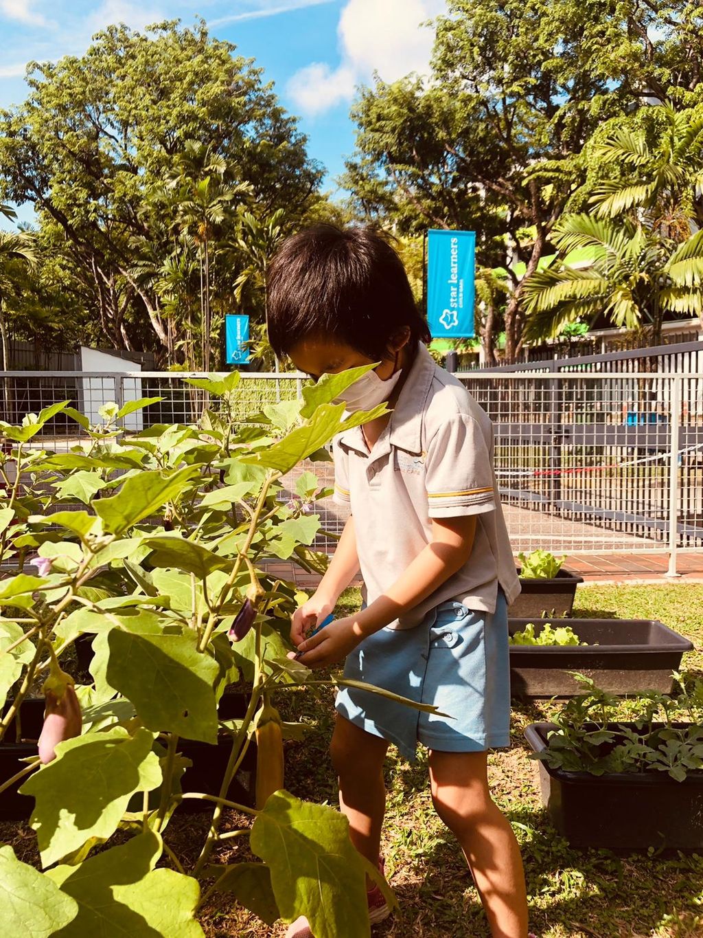 Harvest time! — photo 3