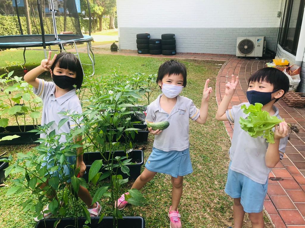Harvest time! — photo 10