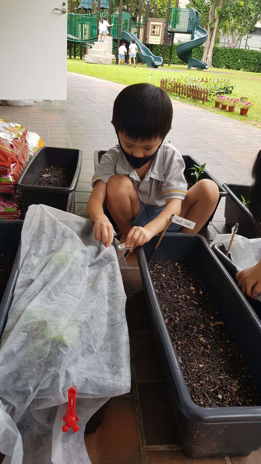 Trouble in our Urban Farm