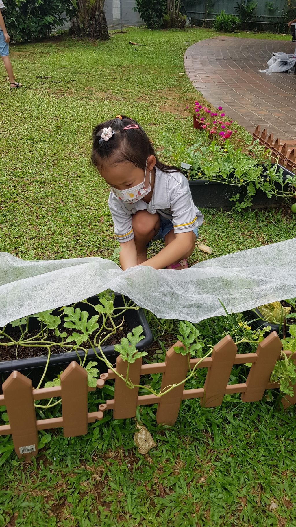 Trouble in our Urban Farm — photo 2