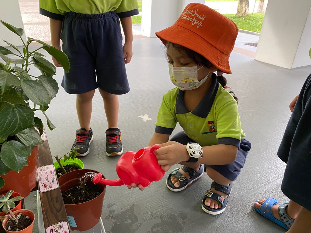 Basic Needs of a Plant — photo 1