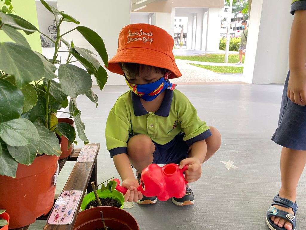 Basic Needs of a Plant — photo 2