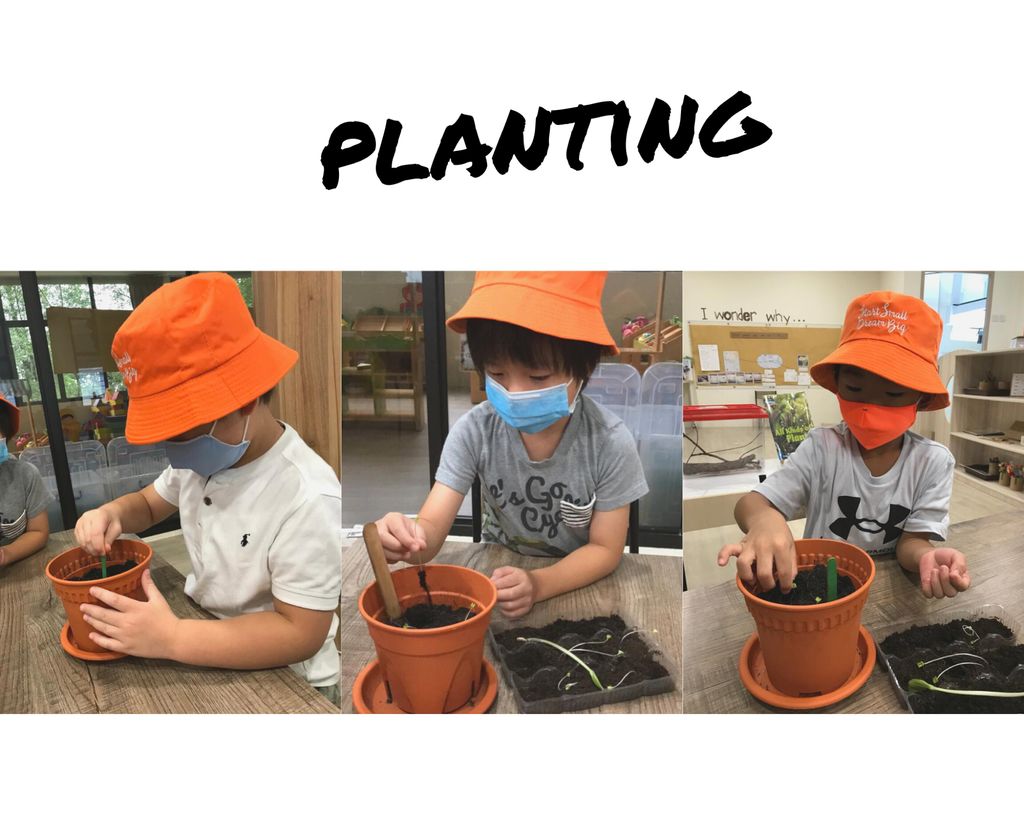 “It takes a team to make create a garden” — photo 2