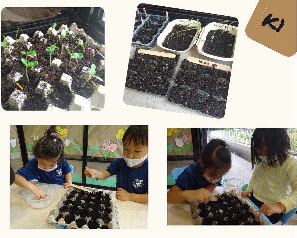 “It takes a team to make create a garden” — photo 1