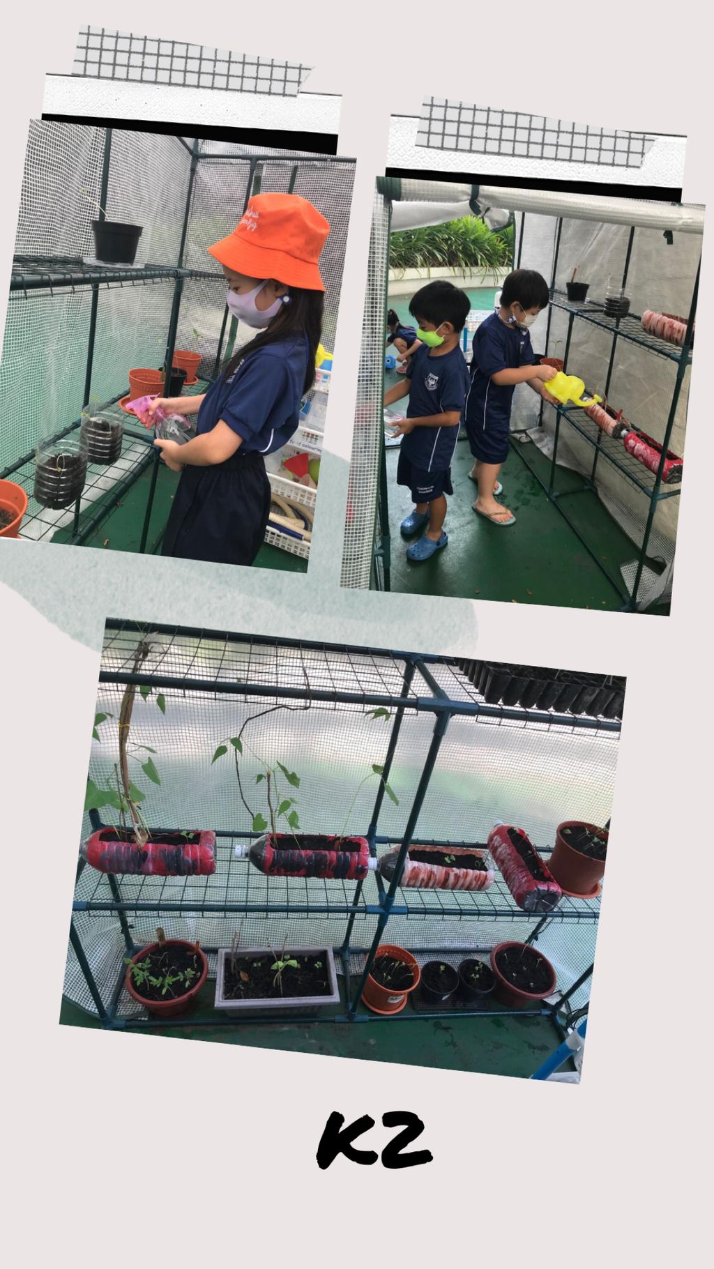 “It takes a team to make create a garden” — photo 2