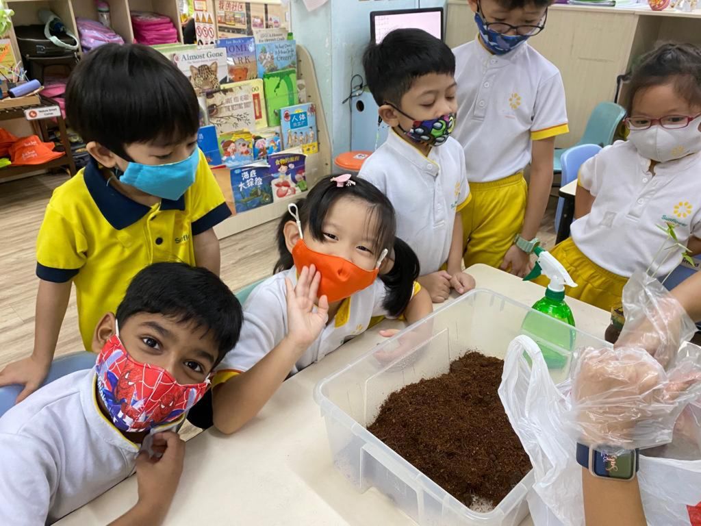 SSDB: Energy conservation & Recycling — photo 14
