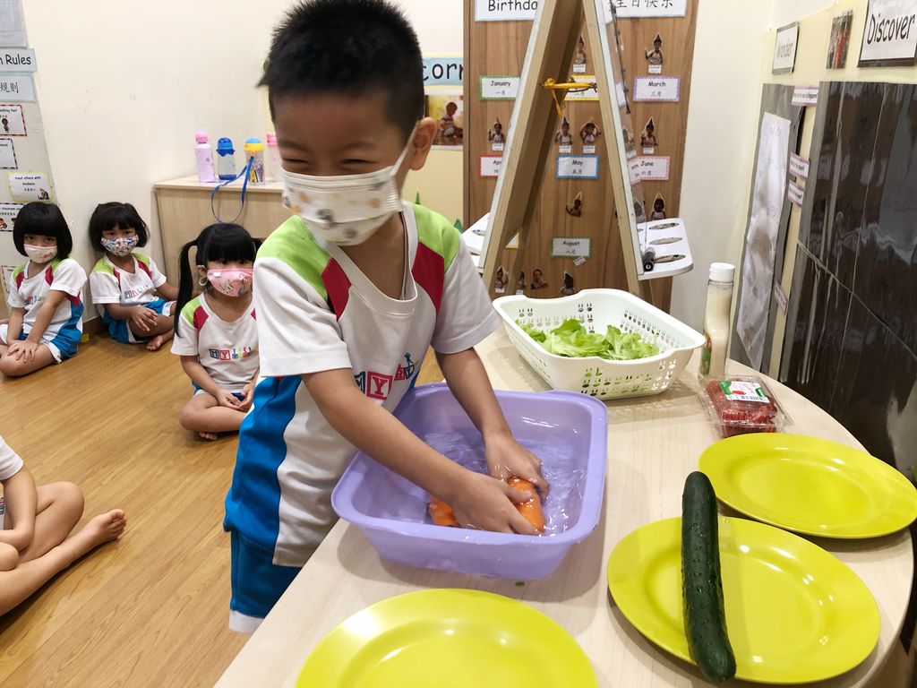 Sustainable Indoor Garden- “Yummy Salad” — photo 10