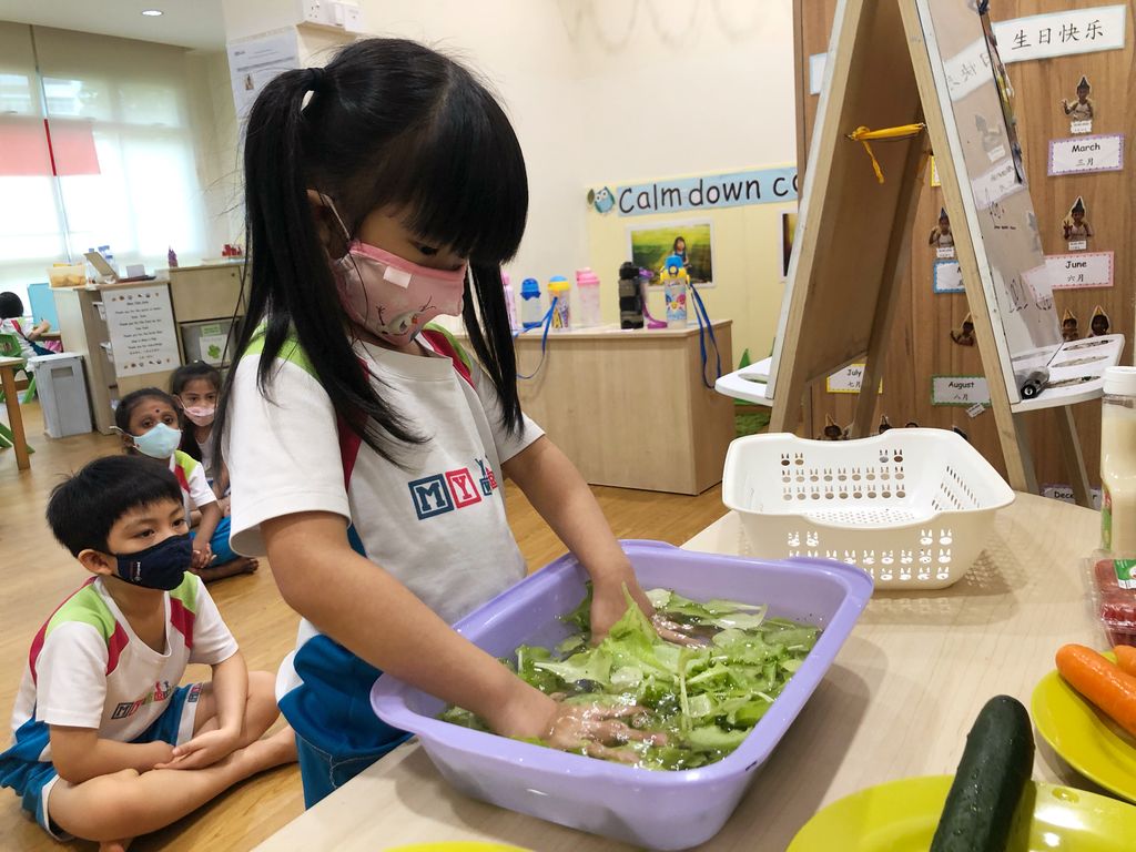 Sustainable Indoor Garden- “Yummy Salad” — photo 12