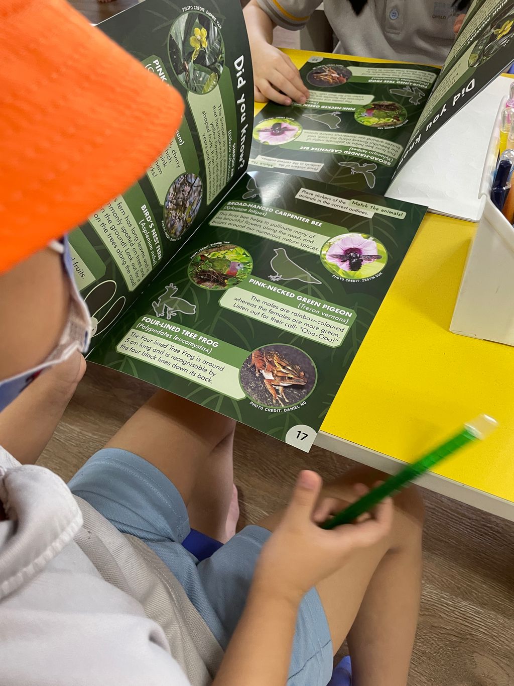 Wildlife Buddies + NParks Biodiversity Week — photo 7