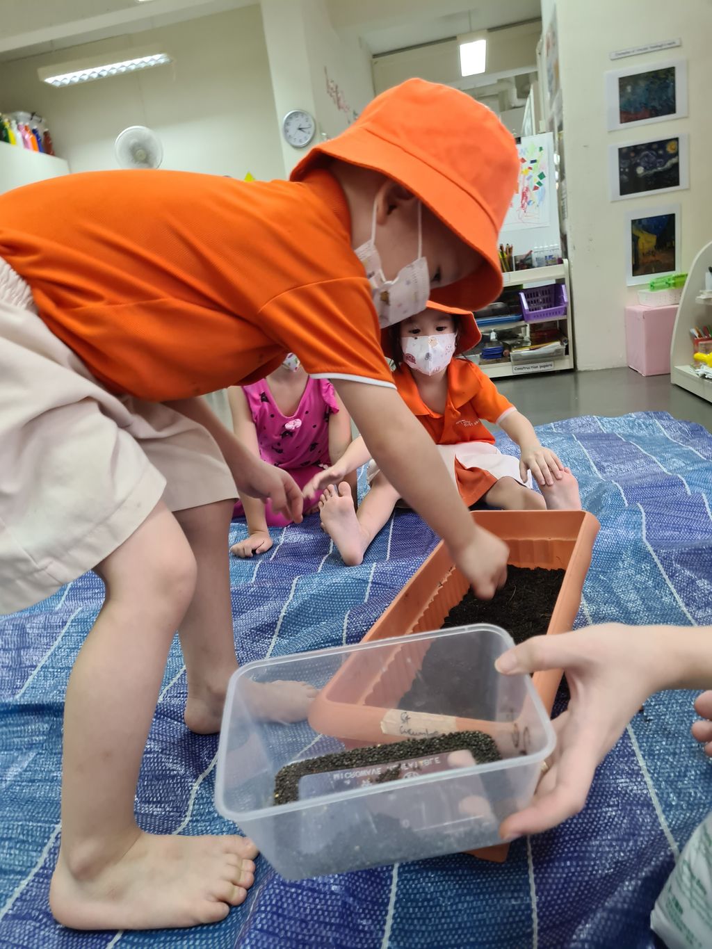 Starting our SSDB journey with planting vegetables!
