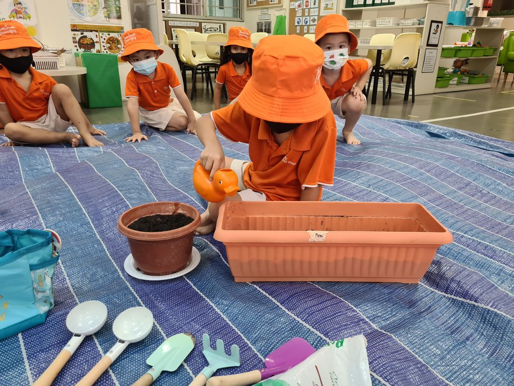 Starting our SSDB journey with planting vegetables! — photo 2