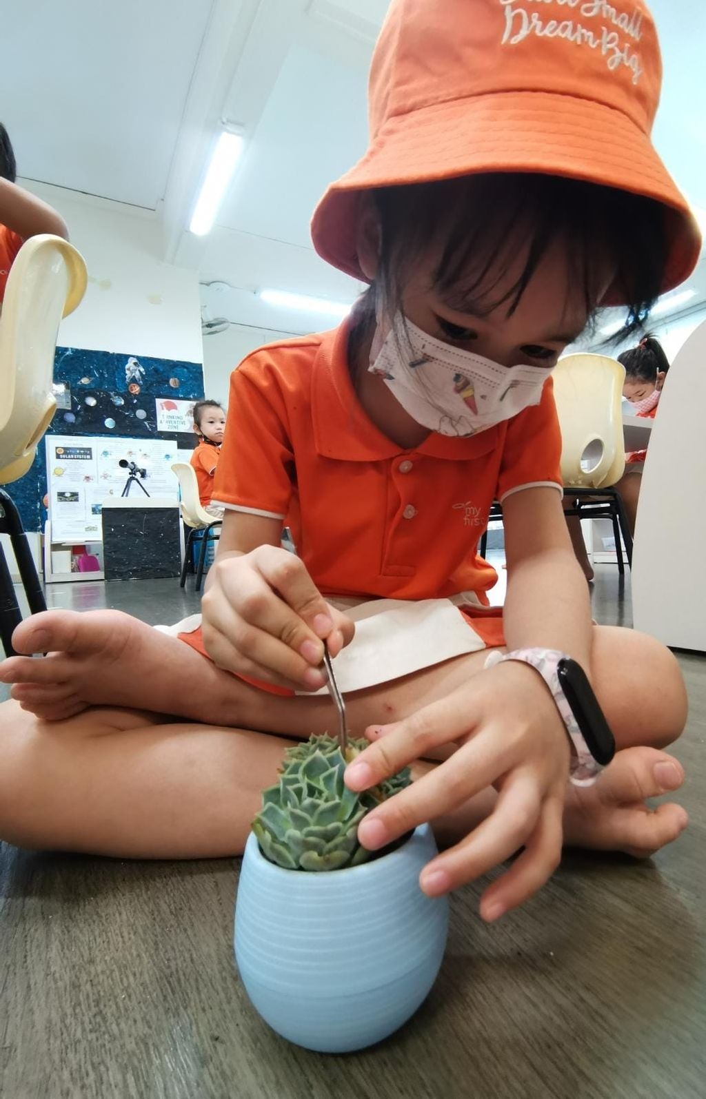 Building terrariums