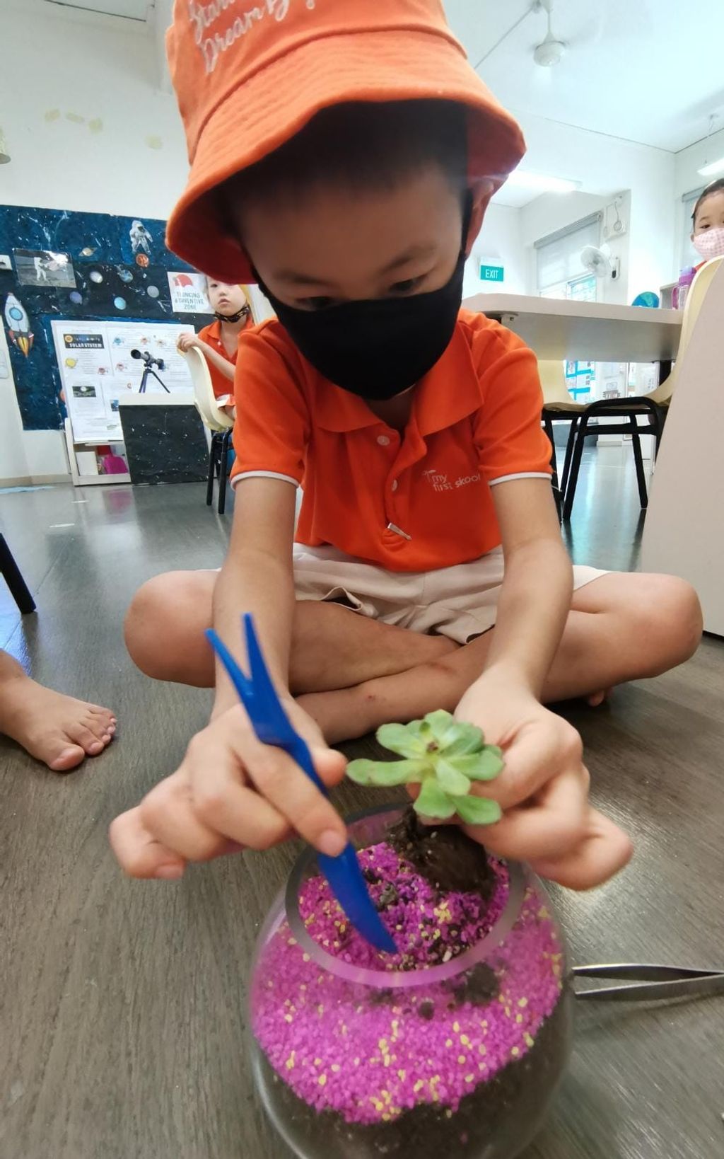 Building terrariums — photo 2