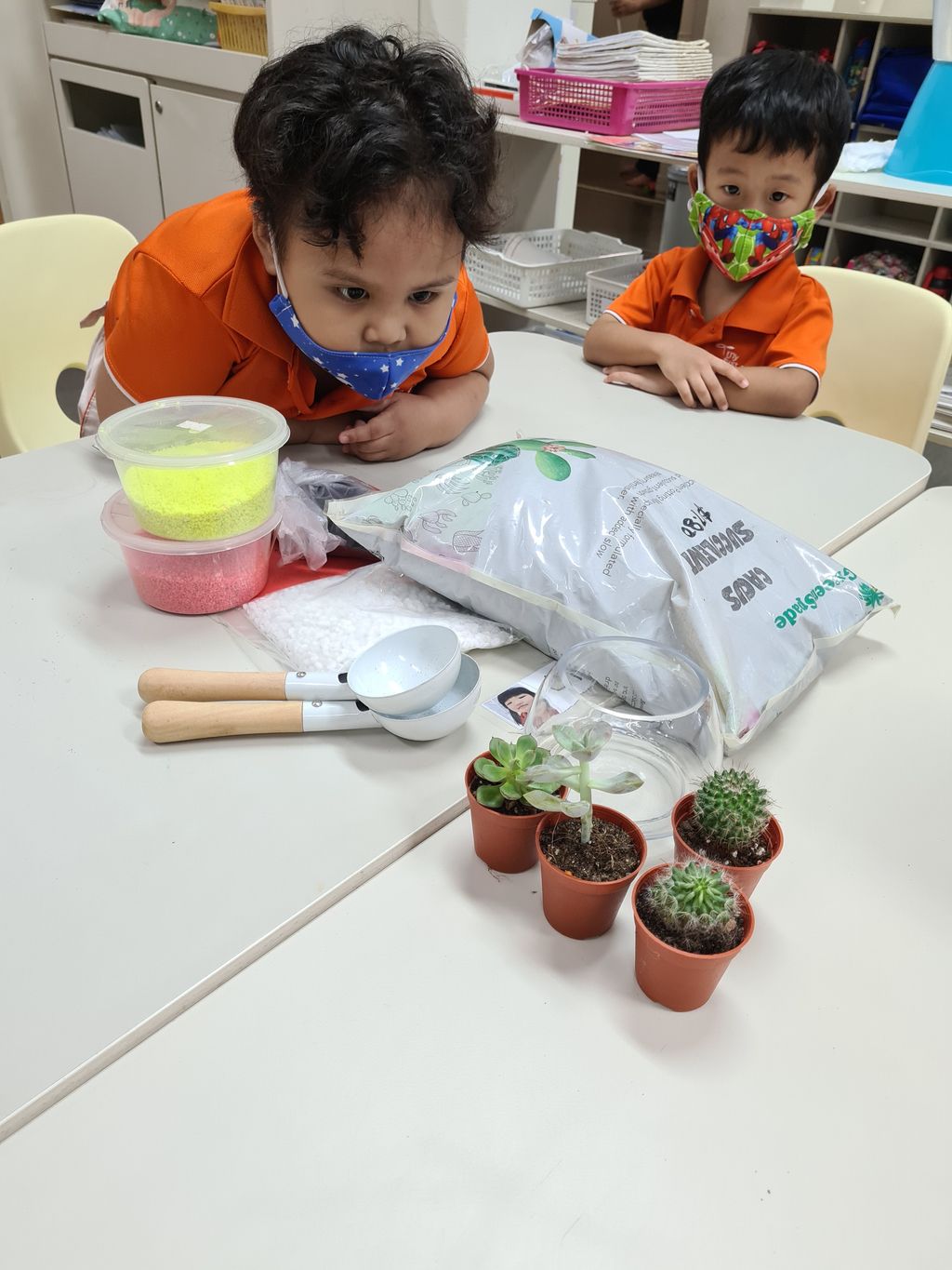 Building terrariums — photo 3
