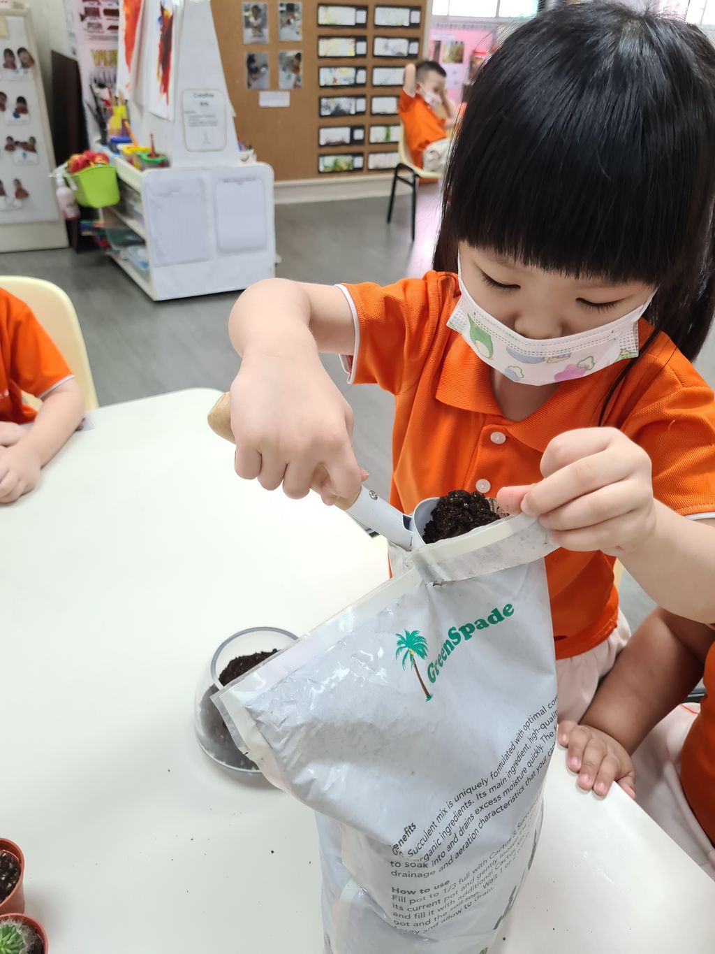 Building terrariums — photo 4