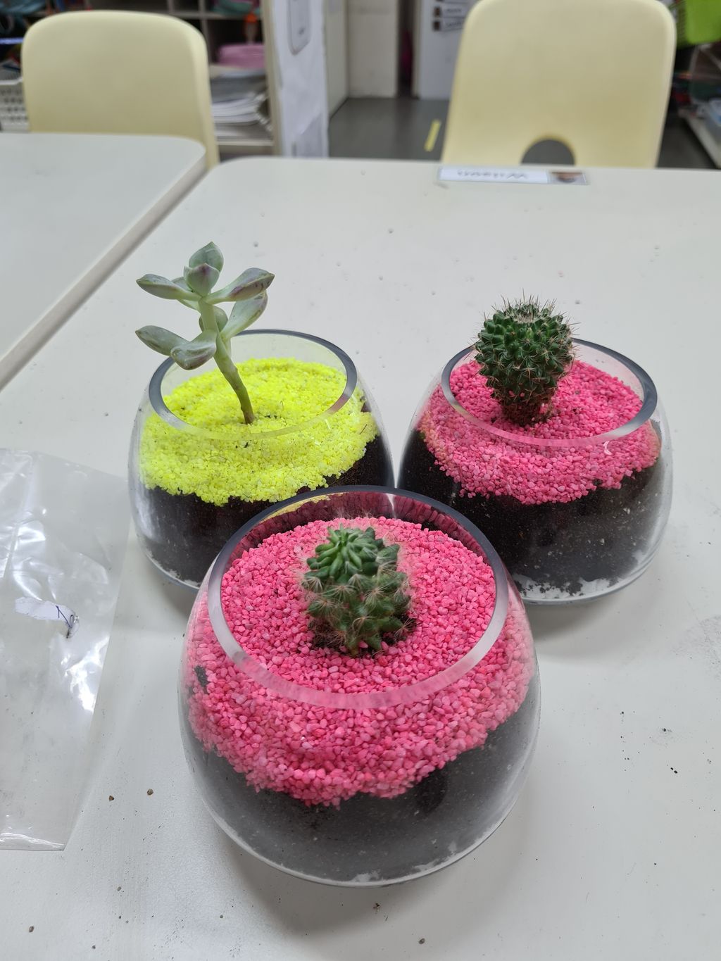 Building terrariums — photo 5